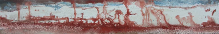 Agar