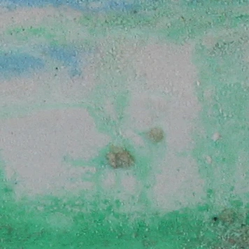 Detalle de Algas