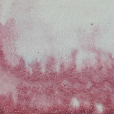 Detalle de Coral