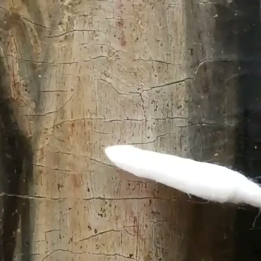 Detalle de la limpieza del cuadro descrito en la foto anterior.